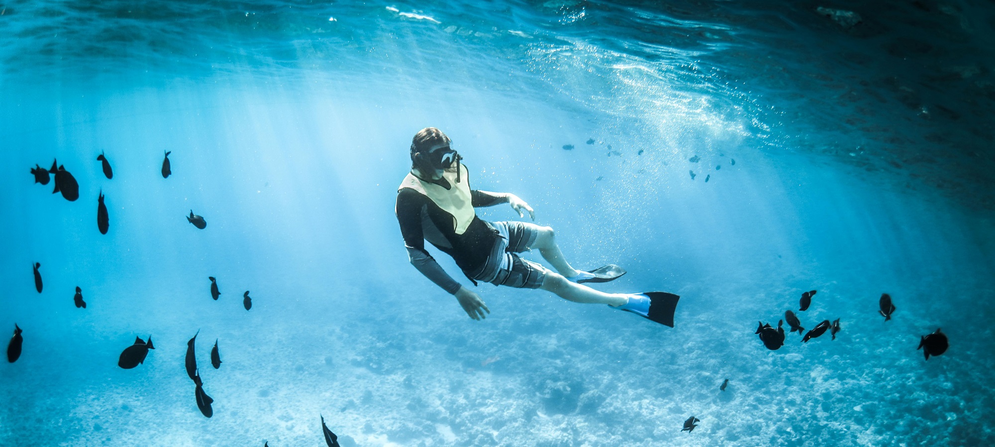 Aqualung Plongee Boutique -Aqualung Plongee Boutique dubrovnik snorkeling spots heading